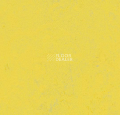 Линолеум Forbo Marmoleum Decibel on Order 374135 yellow glow фото 1 | FLOORDEALER